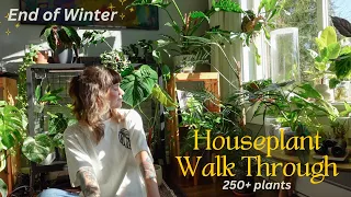 🌿 houseplant collection walk through before spring! updates on repots, blooms, etc. (250 plants)