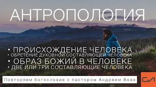 Антропология (повторяем богословие с пастором Андреем Вовк) | Андрей Вовк | Слово Истины