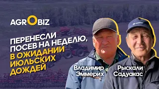 Подбор засухоустойчивых сортов, уровень влагозарядки почвы, сроки посева 2022 | Оксановка-1, Садовое