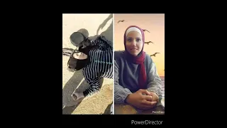 اغنية امازيغية عن التطبيع حسن ديكوك