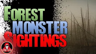 6 REAL Forest Monster Encounters - Darkness Prevails