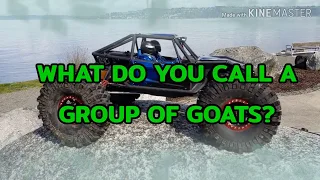 AXIAL CAPRA TRIBE ROCK CRAWLING SESH PT 2