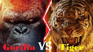 GORILLA VS TIGER - Gorilla VS Tiger Who Would Win || King Kong VS Shere Khan