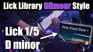 Lick 1/5 Pink Floyd style 1 D minor