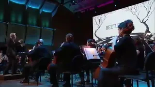 Danny Elfman Beetlejuice live