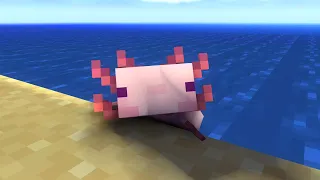 Axolotl - Minecraft Animation