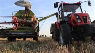 Żniwa 2017 / Ursus C-380 / Claas Mercator /