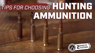 Tips for Choosing Hunting Ammunition