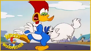 Woody Woodpecker Show | K-9 Woody-O | Woody Woodpecker Full Episode | Kids Cartoon | Kids Movies