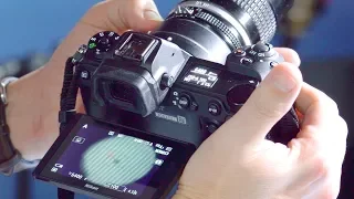 Nikon Z6 + Z7 Overview Tutorial