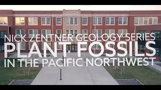Plant Fossils in the Pacific Northwest