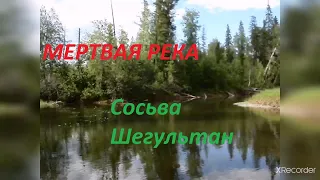 Шегультан убит. Сосьва умирает - в реке медный купорос.  Катастрофа Шемура. Царство мертвых рек.