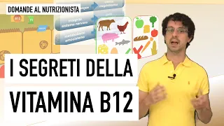 I segreti della vitamina B12