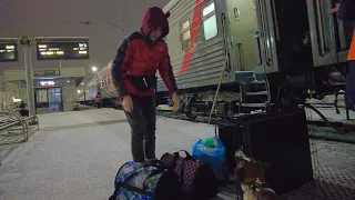 Do we have enough hands to pick up 4 pets from the train at once? Tailed meetings on the platform!