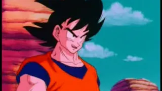 Dragon Ball Z mexico dub