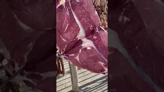 Продажа Мясо 🥩 Оптом Говядина Халяль из России 🇷🇺на экспорт 🥩🇷🇺🔥