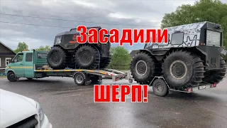 Рдейское болото. Засадили Шерп Макс!