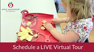 Apple Montessori - Unique NJ Montessori Programs