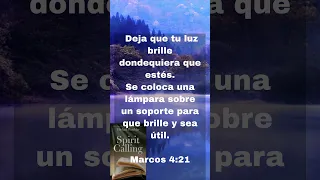 Versículos bíblicos inspiradores del Evangelio de Marcos. #shortsyoutube