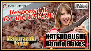 「Katsuobushi」 How Japanese Bonito Flakes Are Made Factory Tour【UMAMI of JAPAN#6】