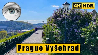 Prague Vyšehrad in blooming lilacs - Walking tour at the best time 🇨🇿 Czech Republic 4k HDR ASMR