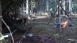 Bushcraft in the wilderness: shelter building, cooking steak for my dog, tool built for digging etc.