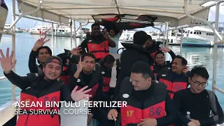 Sea Survival Simulation 1