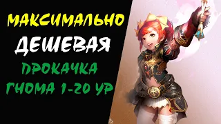 Максимально ДЕШЕВАЯ прокачка ГНОМА 1-20 уровня (DV) Lineage II