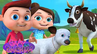 Gaay Ka Bachada Song ( Baby Cow Song ) | Hindi Nursery Rhymes For Kids | Videogyan Hindi Rhymes