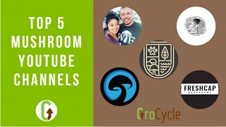 Top 5 Best Mushroom YouTube Channels | GroCycle