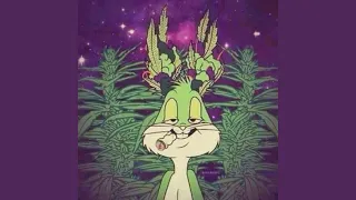 Indica Dreams