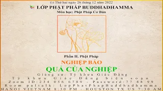 Phật Pháp Cơ Bản | Phần II: Phật Pháp - NGHIỆP BÁO - QUẢ CỦA NGHIỆP