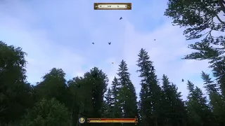 Kingdom Come: Deliverance - Bird Flock