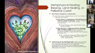 03/11/2024 Earth-based Spirituality Action Team meeting. Land Healing as a Pagan Practice