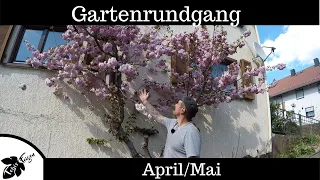 Gartenrundgang Ende April Anfang Mai