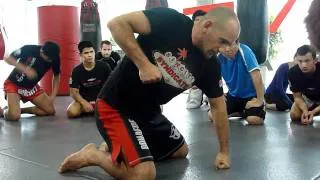 Greg Jackson MMA seminar: Evolve MMA Gym: Singapore 2012 (9/20)