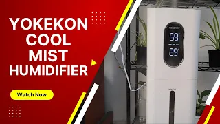 Yokekon Cool Mist Humidifier Review in the UAE