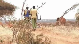 Loisaba comes home | Sheldrick Trust