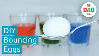 How to Make Bouncy Egg Science Experiment