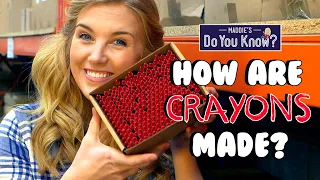 How are Colourful Crayons Made? 🖍️ Maddie's Do You Know? 👩