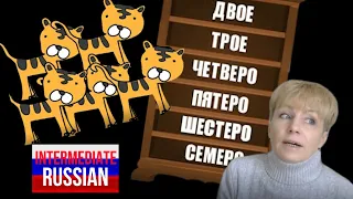 Intermediate Russian Grammar: Collective Numerals (собирательные числительные)