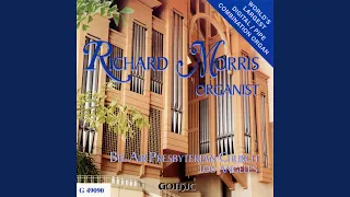 Ellens Gesang III (Ave Maria!) , Op. 52, No. 6, D. 839, "Hymne an die Jungfrau" (arr. R....