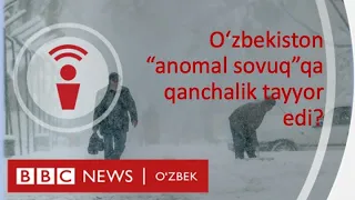 Ўзбекистон - Oʻzbekiston: “Anomal sovuq” nima va unga qanday tayyorgarlik koʻrildi? -BBC News O'zbek