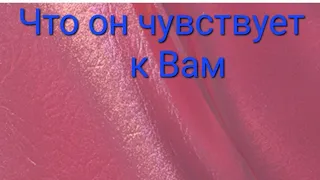 Любовный расклад на картах Таро. Что Он чувствует к Вам ❓️