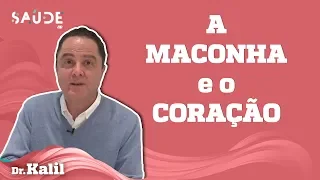 Os efeitos da MACONHA na saúde do CORAÇÃO | Dr. Kalil