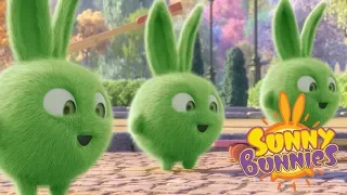 Videos For Kids | TRIPLE TROUBLE - SUNNY BUNNIES | Cute Cartoons | Funny Videos For Kids