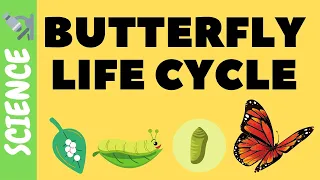 Butterfly Life Cycle FOR KIDS 🐛🦋| Science Videos for Kids