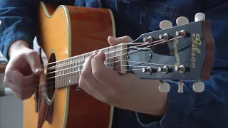 Wild Cat Blues - Guitar Fingerstyle cover