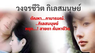 วงจรชีวิต กิเลสมนุษย์  | ดูหนังใหม่ หนังยอดฮิต / กดติดตามกดแชร์