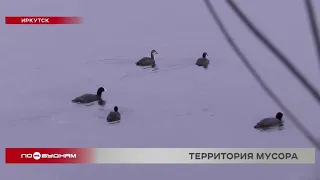 Строительные отходы и макулатуру обнаружили в заказнике "Птичья гавань" в Иркутске